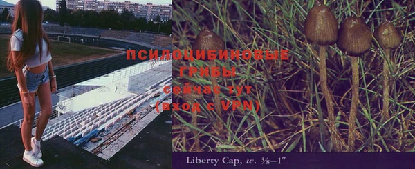 таблы Алексин