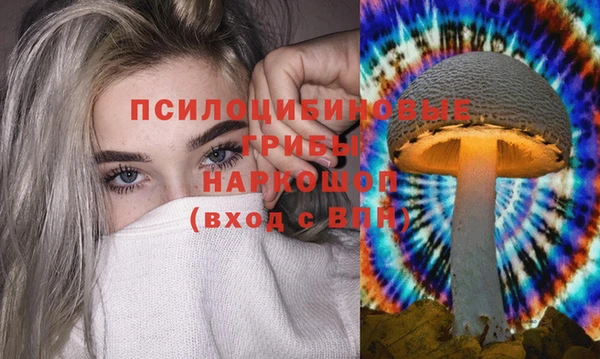 соль ск Алзамай