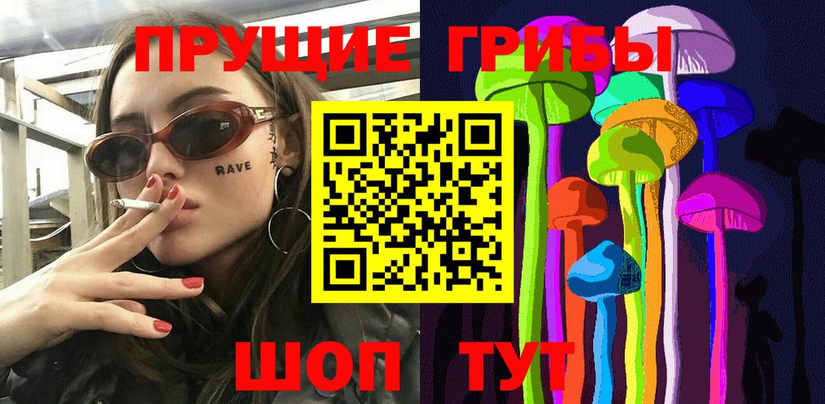 Галлюциногенные грибы Psilocybe Асино
