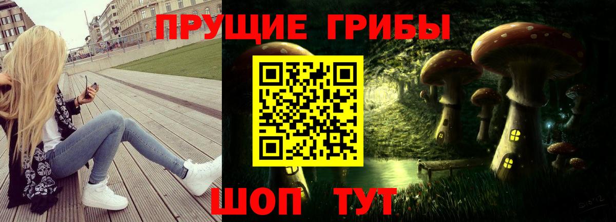Галлюциногенные грибы прущие грибы  Вход с VPN  Асино  Галлюциногенные грибы мицелий 