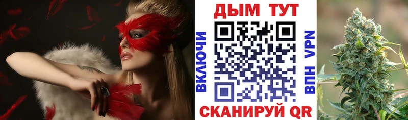 купить закладку  Асино  Бошки Шишки план 